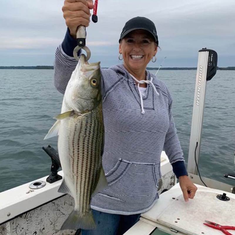 AHQ INSIDER Lake Hartwell (GA/SC) Fall 2019 Fishing Report – Updated December 24