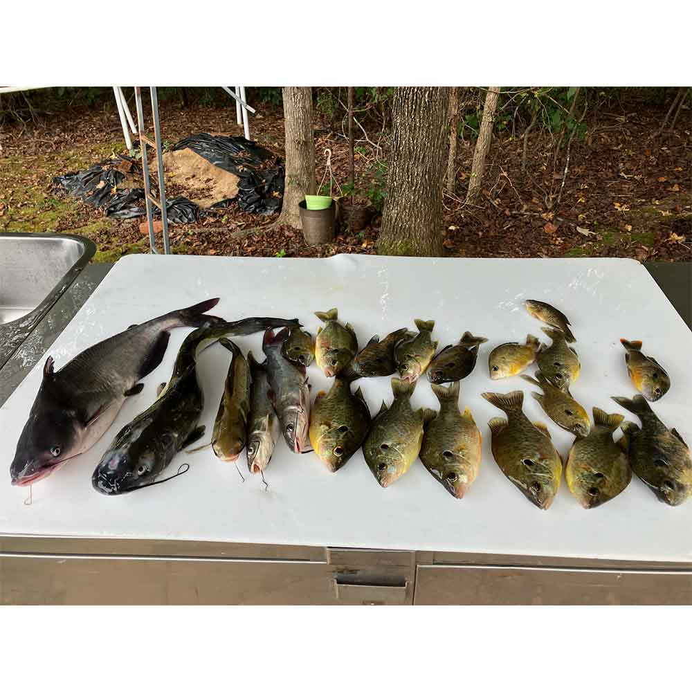 Catch of the day with Captain Bill Plumley