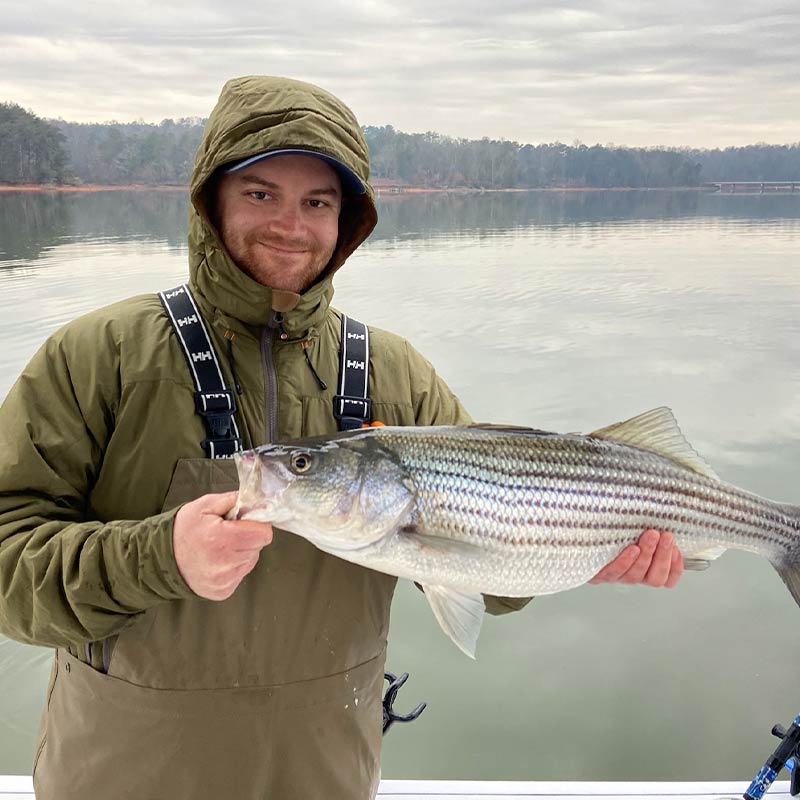 AHQ INSIDER Lake Hartwell (GA/SC) 2023 Week 7 Fishing Report – Updated February 15