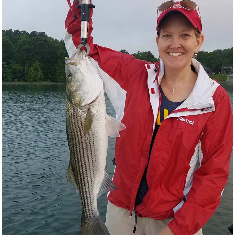 AHQ INSIDER Lake Hartwell (GA/SC) Summer 2021 Fishing Report – Updated June 10