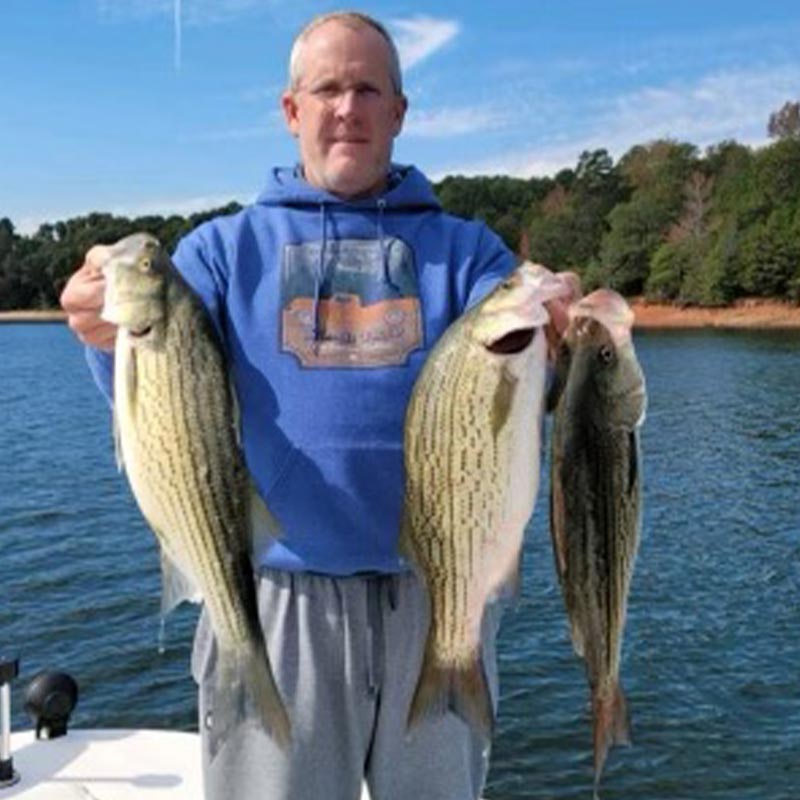 AHQ INSIDER Lake Hartwell (GA/SC) 2023 Week 42 Fishing Report – Updated October 19