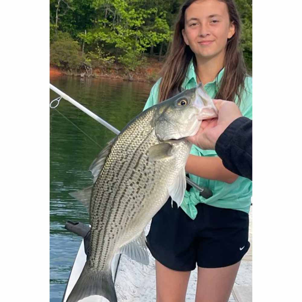 A nice hybrid caught with Captain Chip Hamilton