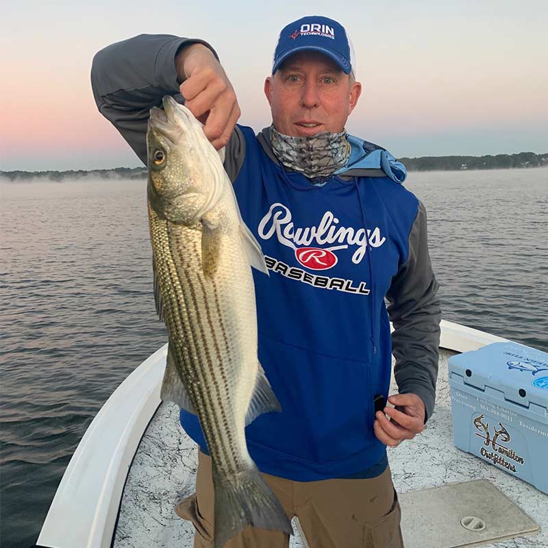 AHQ INSIDER Lake Hartwell (GA/SC) Fall 2021 Fishing Report – Updated November 11