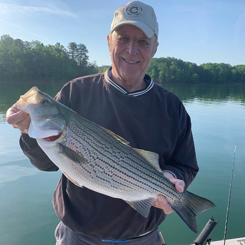 AHQ INSIDER Lake Hartwell (GA/SC) 2023 Week 18 Fishing Report – Updated May 4