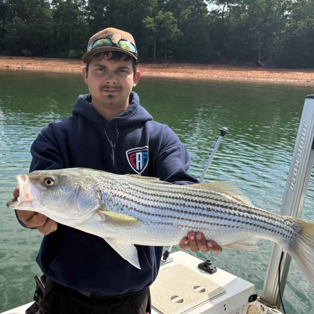 A good striper caught with Captain Chip Hamilton