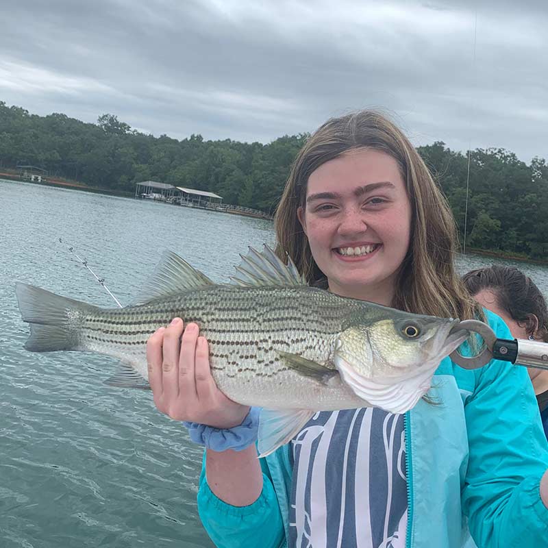 AHQ INSIDER Lake Hartwell (GA/SC) Summer 2021 Fishing Report – Updated July 21