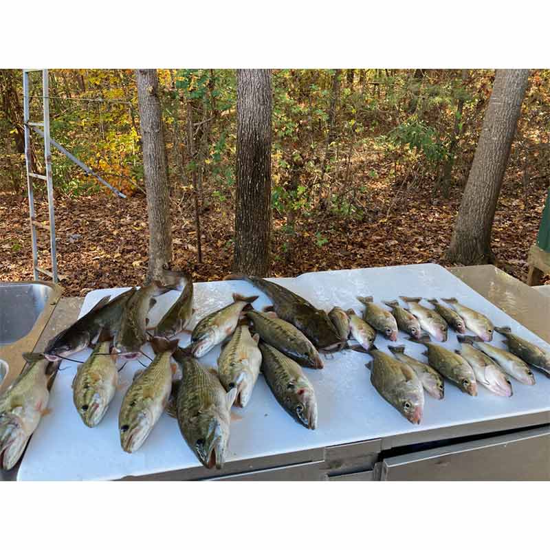 AHQ INSIDER Lake Hartwell (GA/SC) 2022 Week 45 Fishing Report – Updated November 10