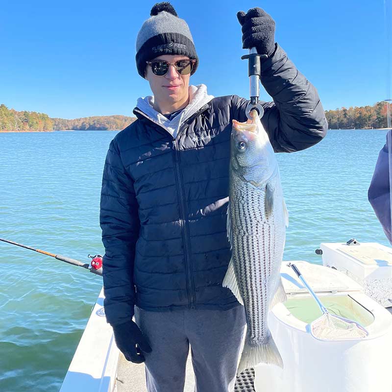 AHQ INSIDER Lake Hartwell (GA/SC) Fall 2021 Fishing Report – Updated November 19