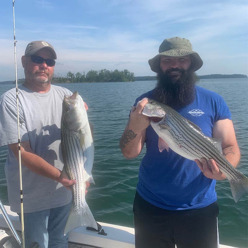 AHQ INSIDER Lake Hartwell (GA/SC) Spring 2021 Fishing Report – Updated May 28