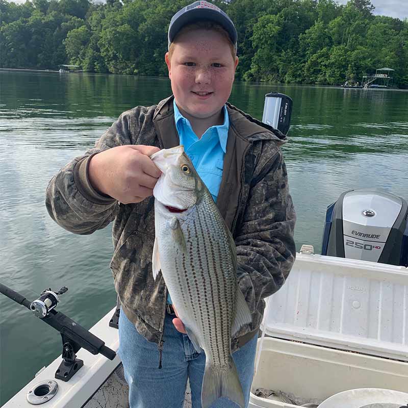 AHQ INSIDER Lake Hartwell (GA/SC) Spring 2021 Fishing Report – Updated May 6