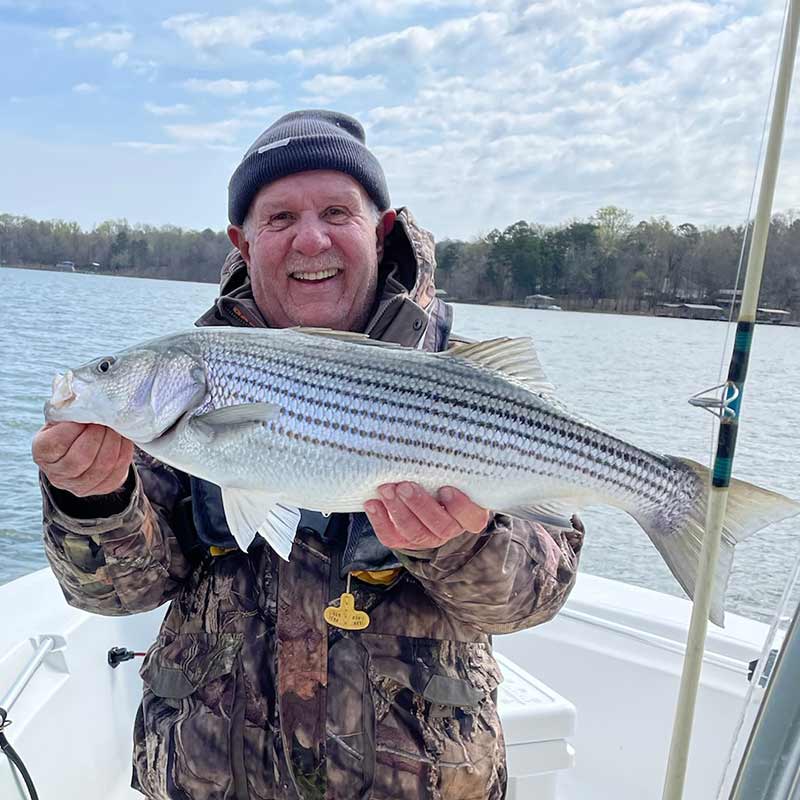 AHQ INSIDER Lake Hartwell (GA/SC) 2022 Week 13 Fishing Report – Updated April 1