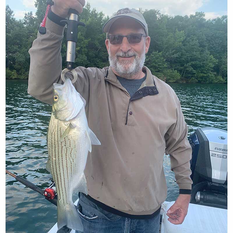 AHQ INSIDER Lake Hartwell (GA/SC) Summer 2021 Fishing Report – Updated July 28