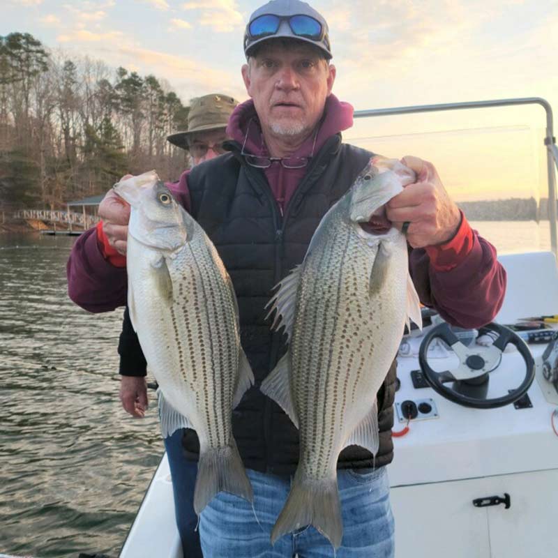 AHQ INSIDER Lake Hartwell (GA/SC) Spring 2022 Fishing Report – Updated March 1