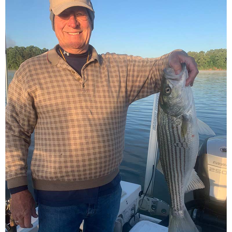 AHQ INSIDER Lake Hartwell (GA/SC) Spring 2021 Fishing Report – Updated May 20