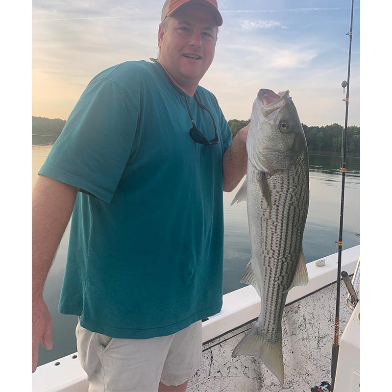 AHQ INSIDER Lake Hartwell (GA/SC) Summer 2021 Fishing Report – Updated June 23
