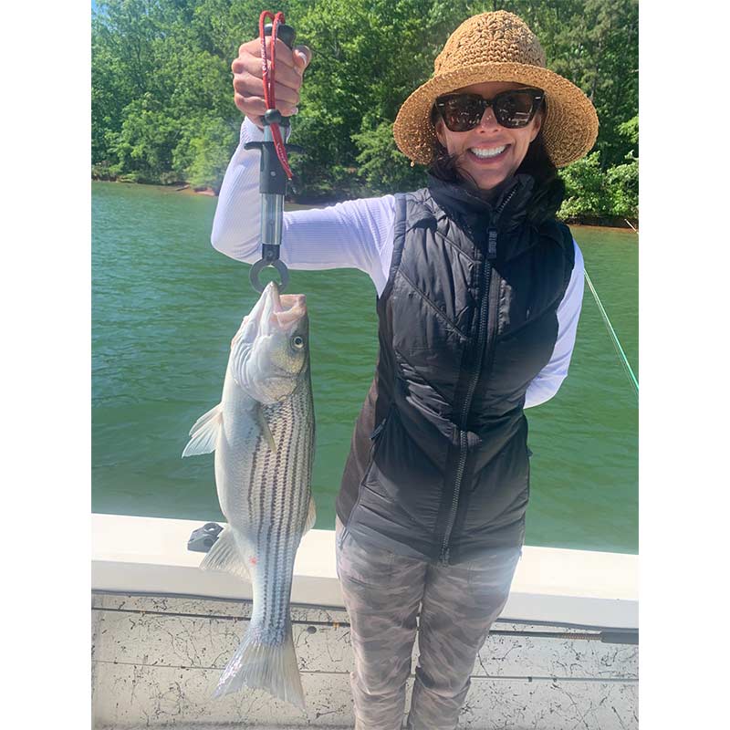 AHQ INSIDER Lake Hartwell (GA/SC) 2022 Week 19 Fishing Report – Updated May 12