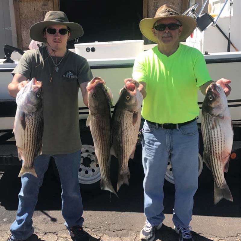 AHQ INSIDER Lake Hartwell (GA/SC) 2023 Week 45 Fishing Report – Updated November 9