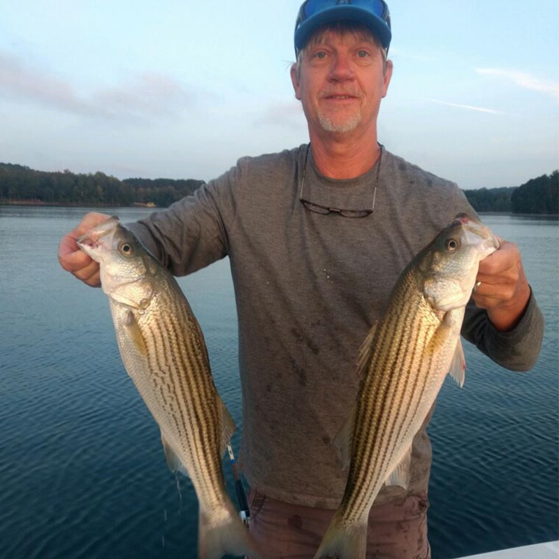 AHQ INSIDER Lake Hartwell (GA/SC) Fall 2020 Fishing Report – Updated September 22