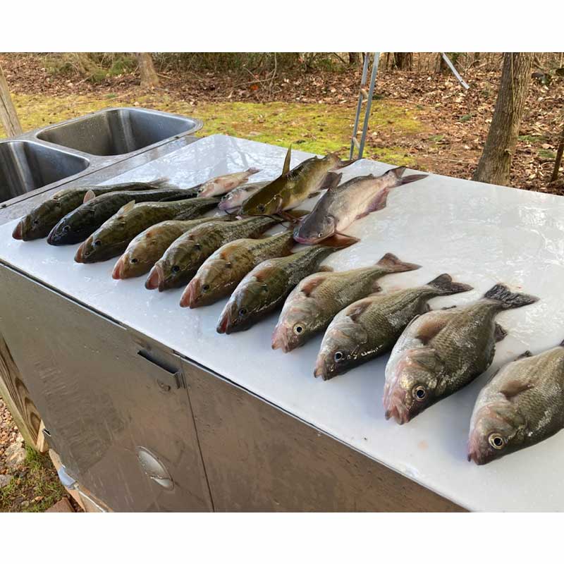 AHQ INSIDER Lake Hartwell (GA/SC) Spring 2022 Fishing Report – Updated February 1