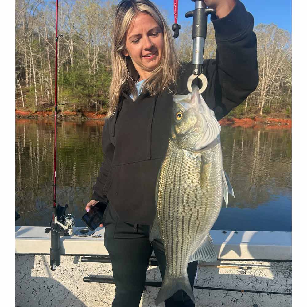 A good hybrid with Captain Chip Hamilton 