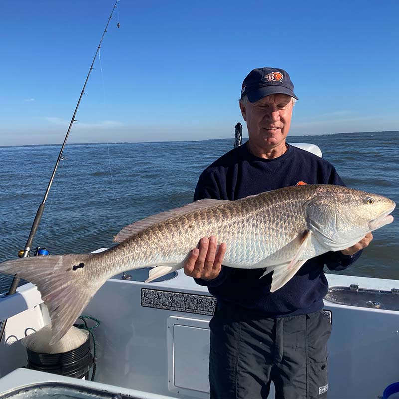 AHQ INSIDER Hilton Head Island (SC) 2022 Week 46 Fishing Report - Updated November 18