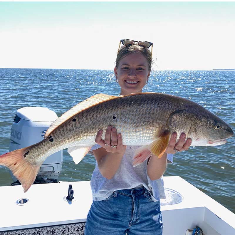 AHQ INSIDER Hilton Head Island (SC) 2022 Week 42 Fishing Report - Updated October 21