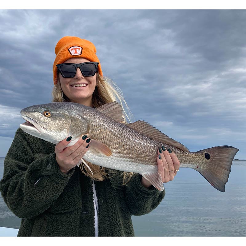 AHQ INSIDER Hilton Head Island (SC) 2026 Week 5 Fishing Report - Updated January 29