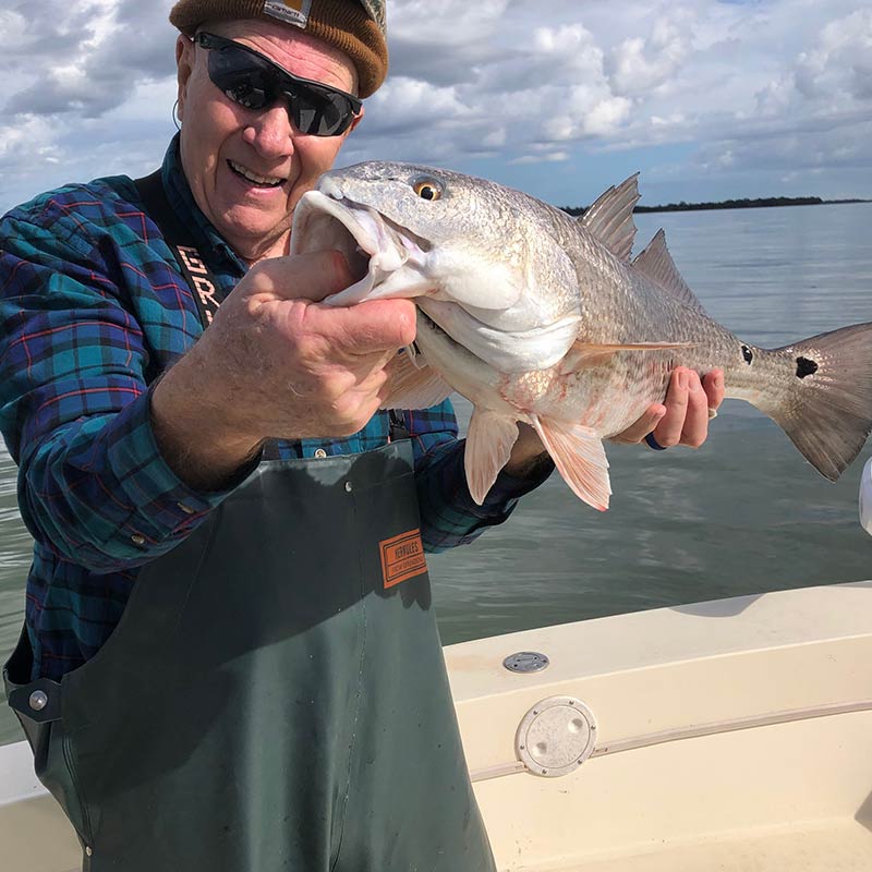 AHQ INSIDER Hilton Head Island (SC) Fall 2019 Fishing Report - Updated December 24