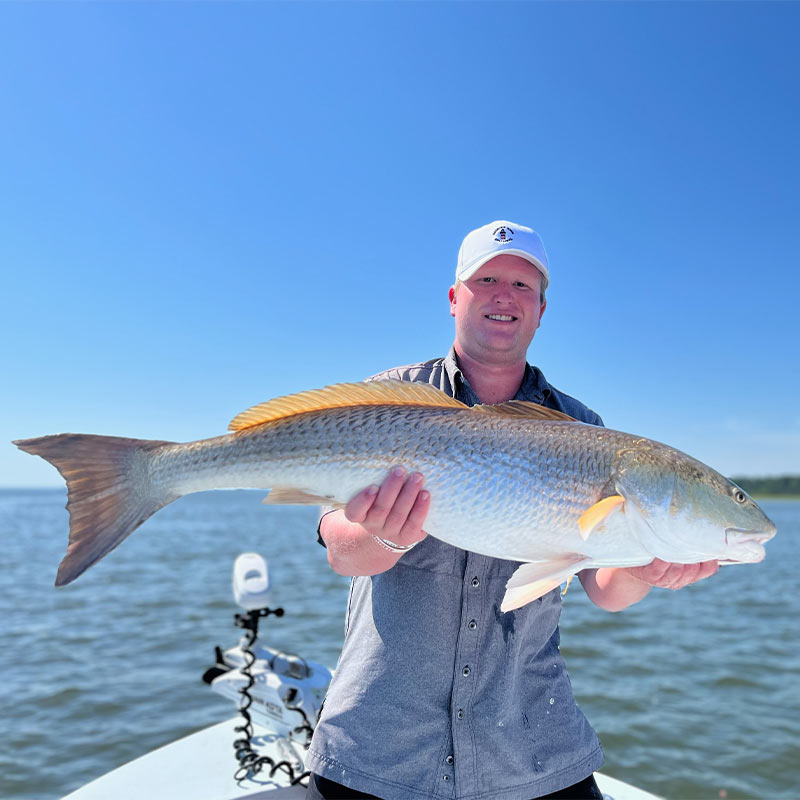 AHQ INSIDER Hilton Head Island (SC) 2023 Week 36 Fishing Report - Updated September 7