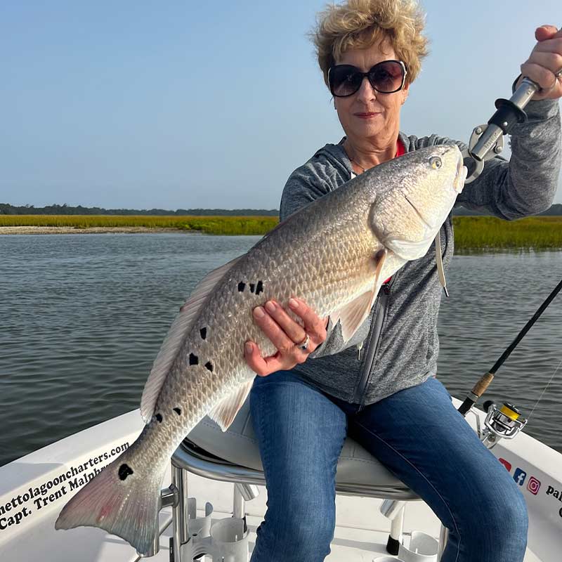 AHQ INSIDER Hilton Head Island (SC) 2023 Week 40 Fishing Report - Updated October 5
