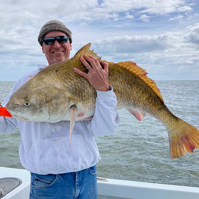 AHQ INSIDER Hilton Head Island (SC) 2022 Week 16 Fishing Report - Updated April 21