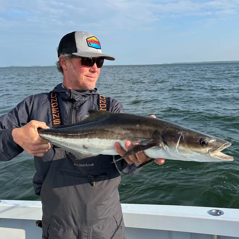 AHQ INSIDER Hilton Head Island (SC) 2023 Week 21 Fishing Report - Updated May 25