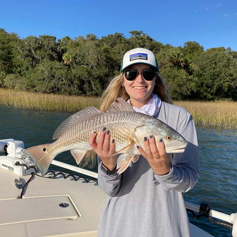 AHQ INSIDER Hilton Head Island (SC) Fall 2020 Fishing Report - Updated December 20