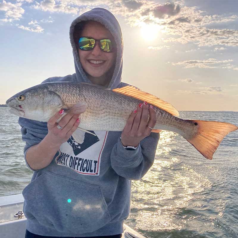 AHQ INSIDER Hilton Head Island (SC) 2022 Week 13 Fishing Report - Updated April 1