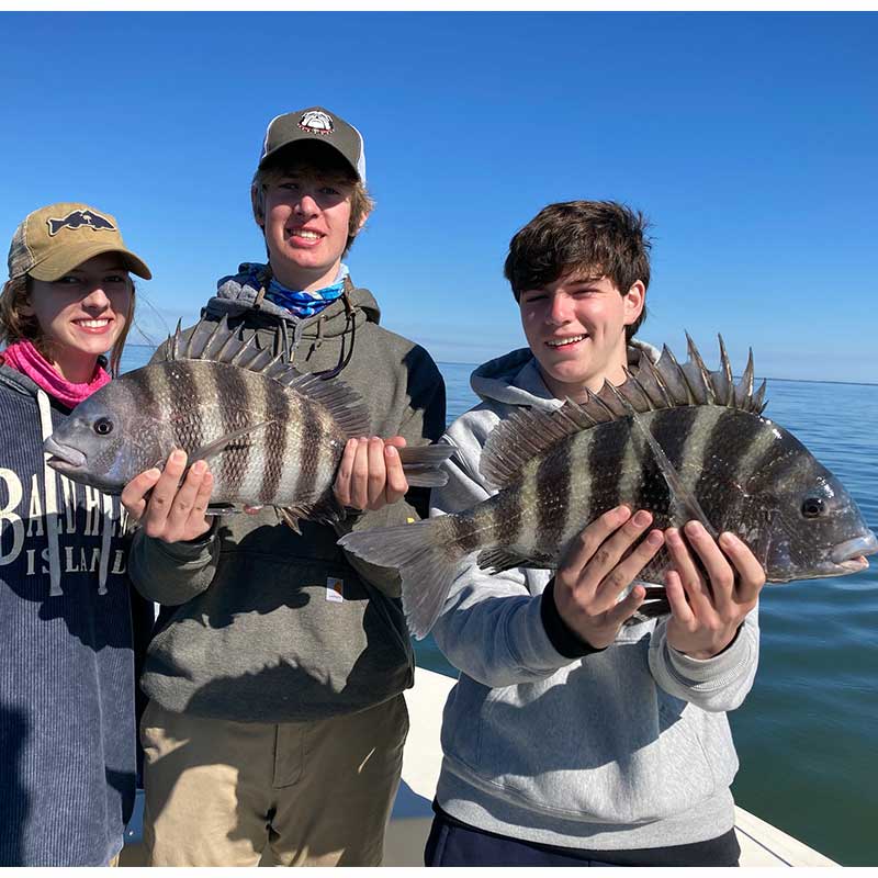 AHQ INSIDER Hilton Head Island (SC) Spring 2021 Fishing Report - Updated March 11