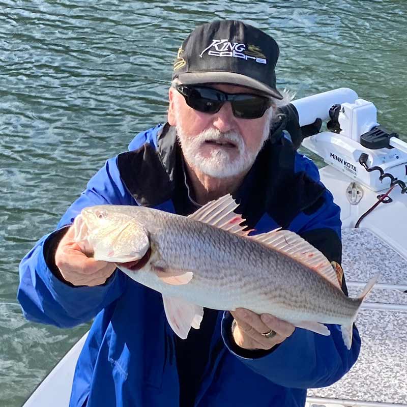 AHQ INSIDER Hilton Head Island (SC) 2023 Week 7 Fishing Report - Updated February 16