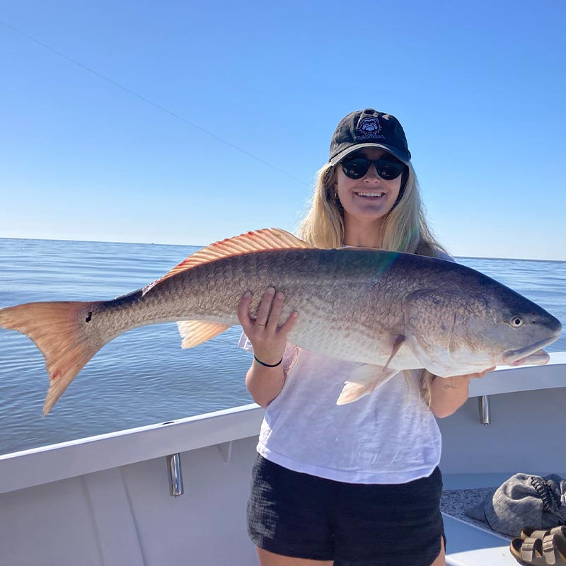 AHQ INSIDER Hilton Head Island (SC) 2022 Week 41 Fishing Report - Updated October 13