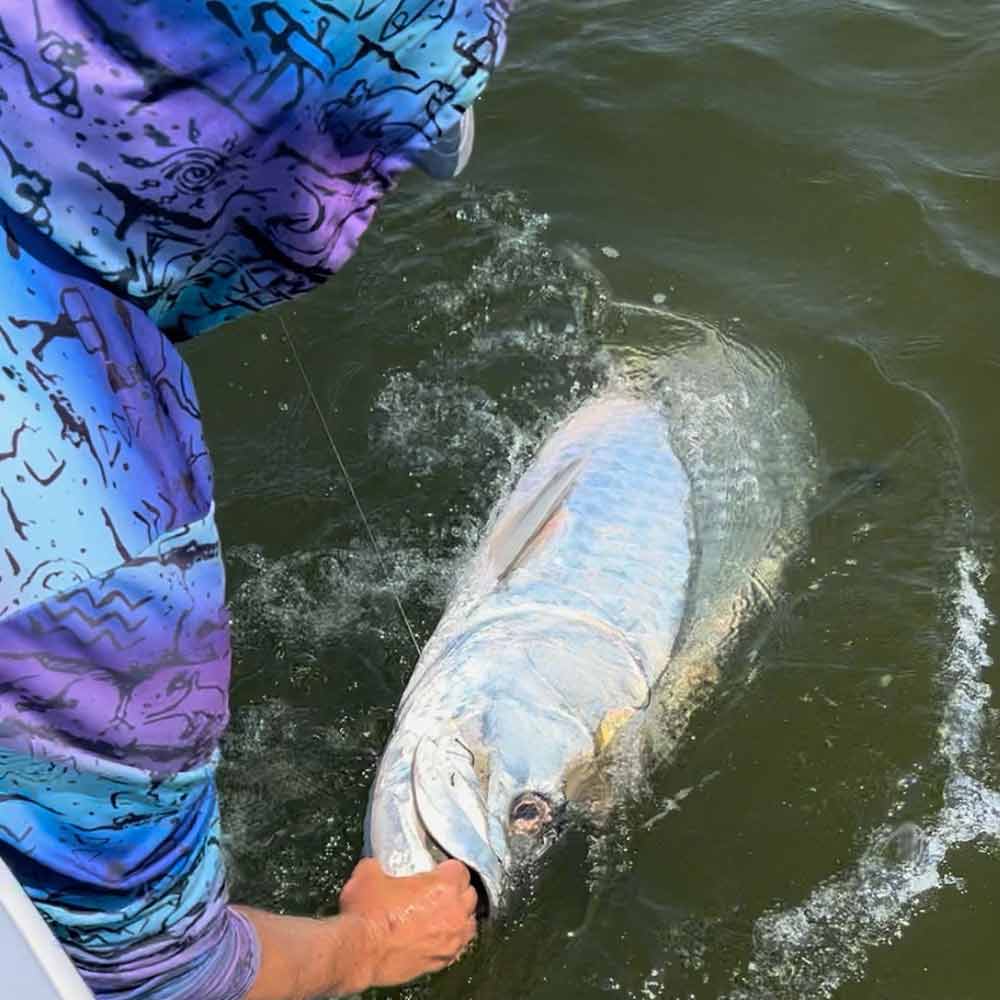 This week with Captain Kai Williams 