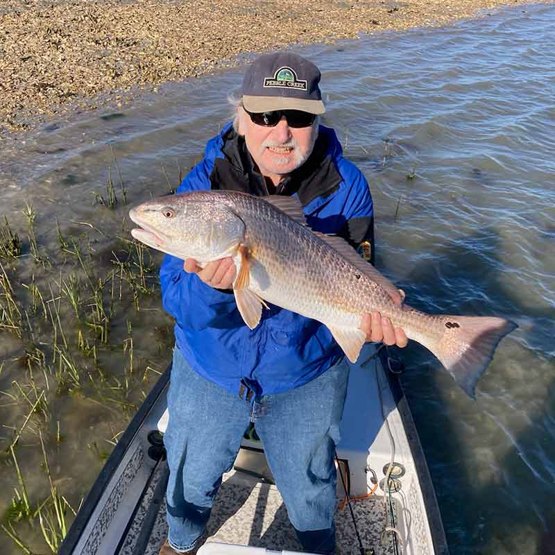 AHQ INSIDER Hilton Head Island (SC) Spring 2021 Fishing Report - Updated February 23