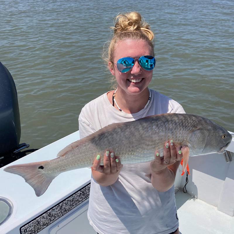 AHQ INSIDER Hilton Head Island (SC) 2022 Week 19 Fishing Report - Updated May 20