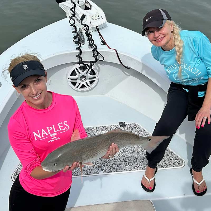 AHQ INSIDER Hilton Head Island (SC) 2023 Week 24 Fishing Report - Updated June 16