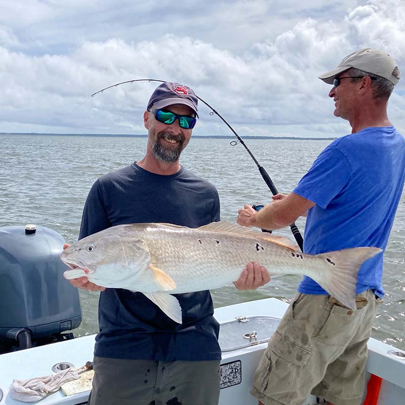 AHQ INSIDER Hilton Head Island (SC) Fall 2021 Fishing Report - Updated September 30