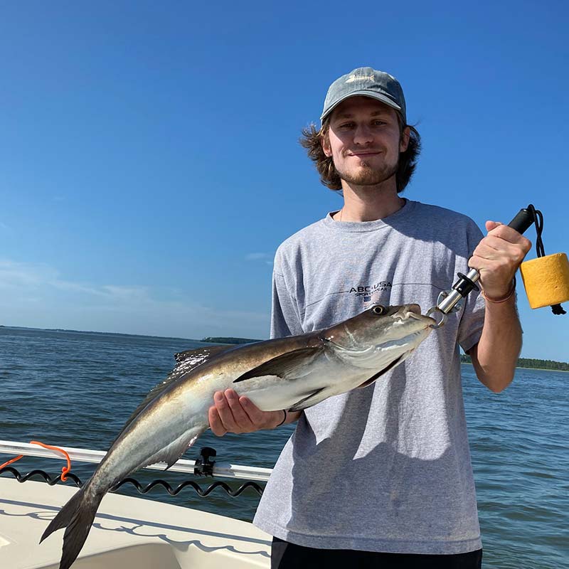 AHQ INSIDER Hilton Head Island (SC) Spring 2021 Fishing Report - Updated May 20