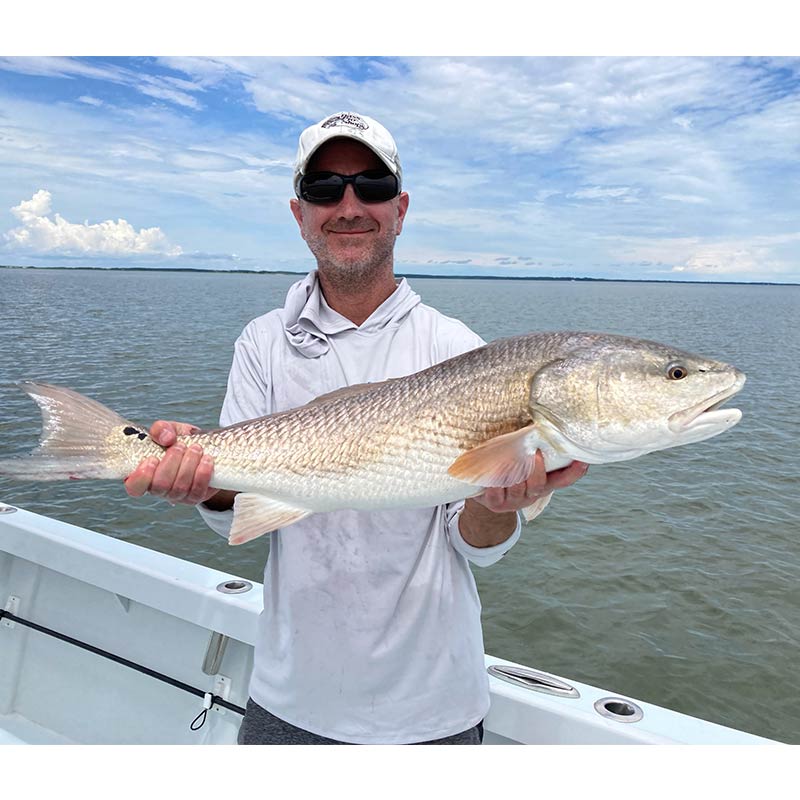 AHQ INSIDER Hilton Head Island (SC) Summer 2021 Fishing Report - Updated July 29