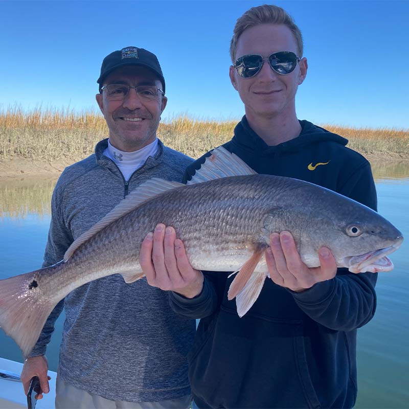 AHQ INSIDER Hilton Head Island (SC) Spring 2021 Fishing Report - Updated January 14
