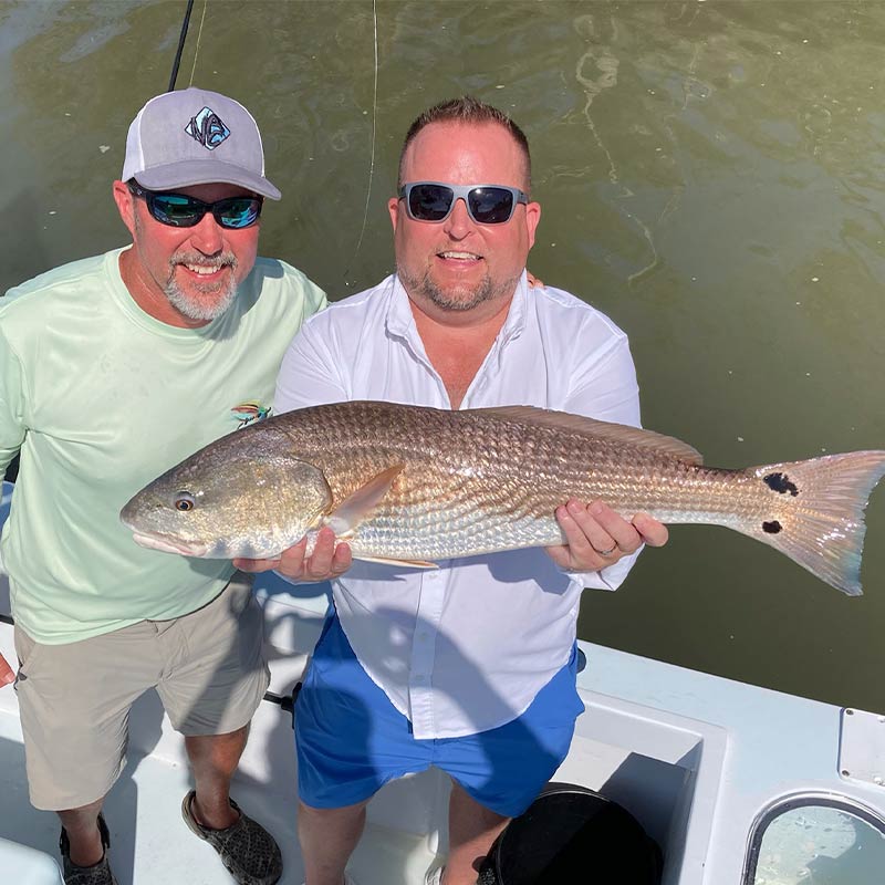 AHQ INSIDER Hilton Head Island (SC) Summer 2021 Fishing Report - Updated July 23