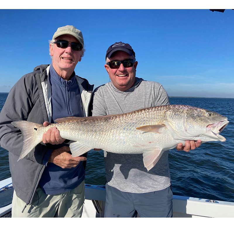 AHQ INSIDER Hilton Head Island (SC) Fall 2021 Fishing Report - Updated November 4