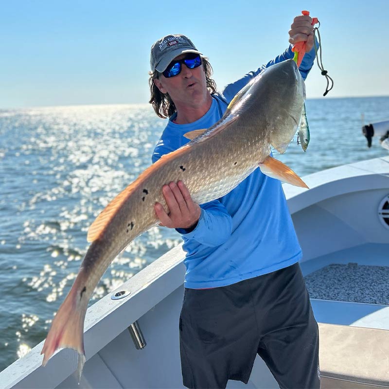 AHQ INSIDER Hilton Head Island (SC) 2023 Week 26 Fishing Report - Updated June 29