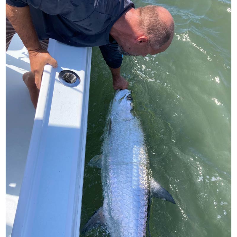 AHQ INSIDER Hilton Head Island (SC) 2022 Week 35 Fishing Report - Updated August 31