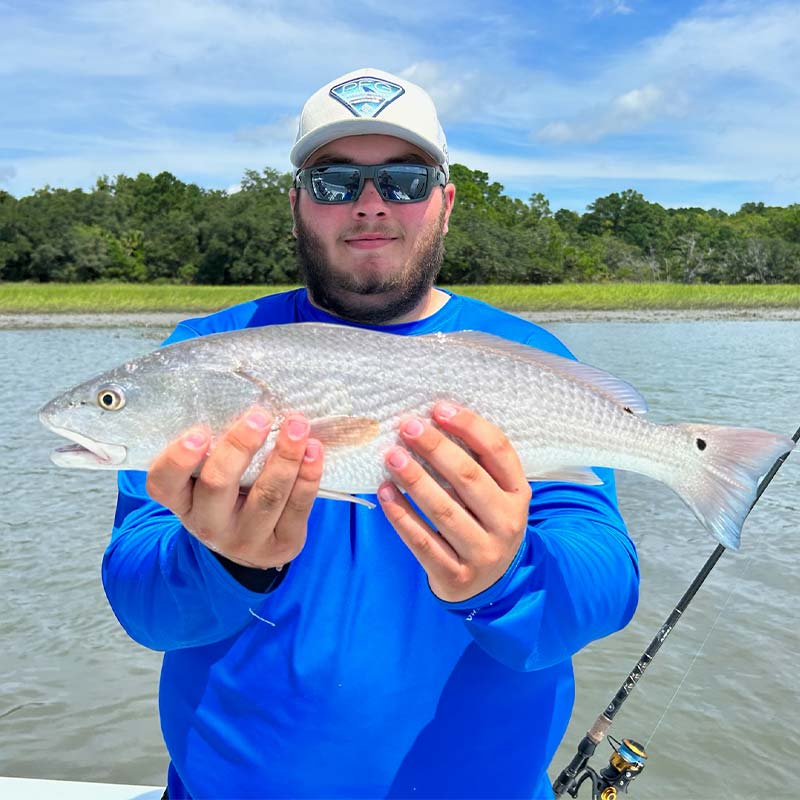 AHQ INSIDER Hilton Head Island (SC) 2023 Week 33 Fishing Report - Updated August 18